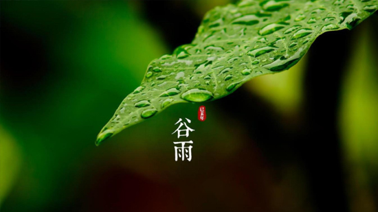 谷雨|喝一杯純凈好水，沐一場(chǎng)人間春色